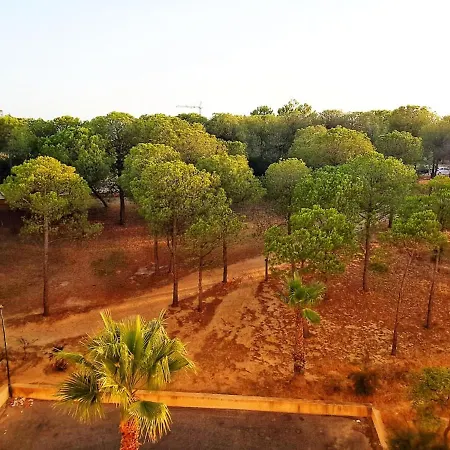 With One Bedroom In Vale Rebelho 2 Km From The Beach *