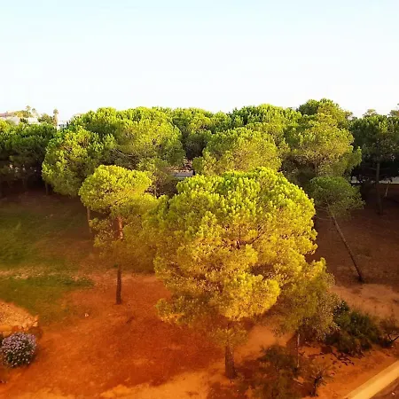 With One Bedroom In Vale Rebelho 2 Km From The Beach Lejlighed Patroves